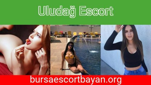 image 5Z92980OWD